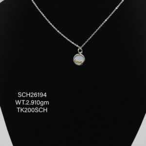 Chain with Feather Pendent in Sterling Silver (Copy)