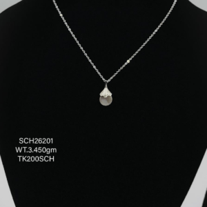 Chain with Iconic Pendent in Sterling Silver
