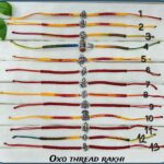 Rakhi Pure Silver